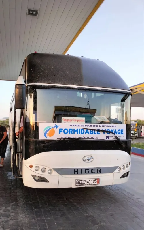 MARABOUT PAR BUS