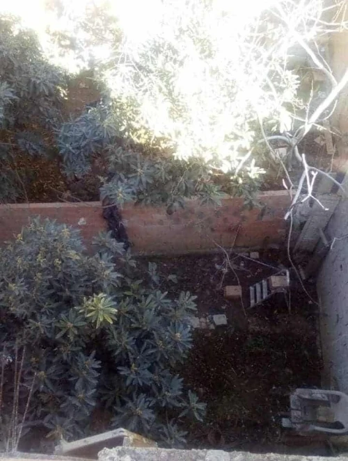 Vente Villa Alger Ouled chebel