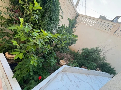 Vente Villa Tébessa Tebessa