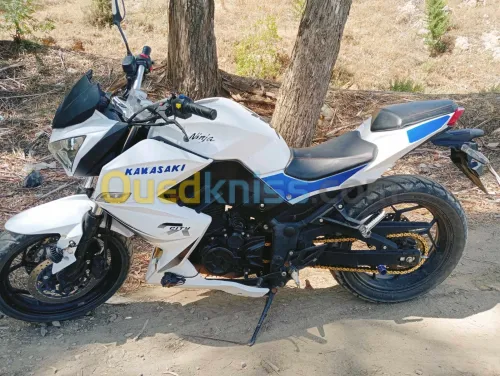 Sam Z250 ninja 2022
