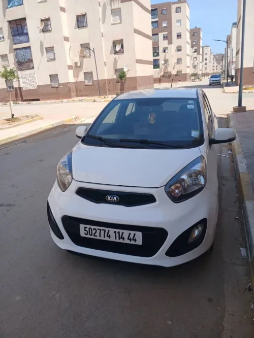 Kia Picanto 2014 pop
