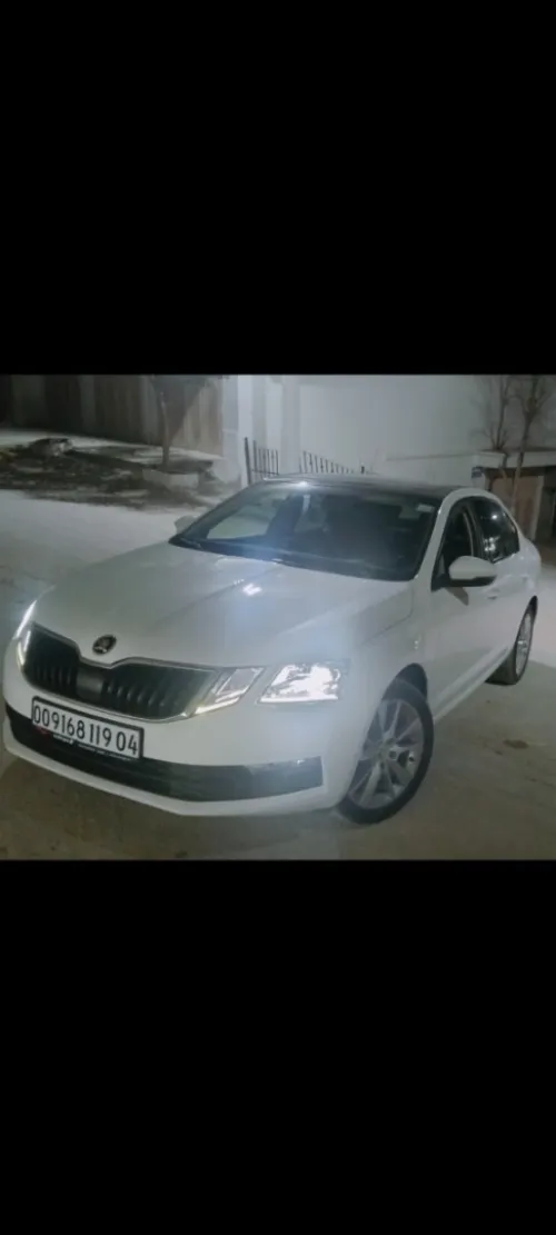 Skoda Octavia Skoda clever 2019 