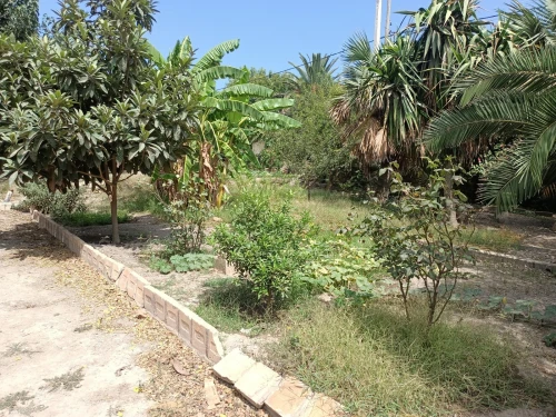 Vente Villa Alger Bordj el bahri