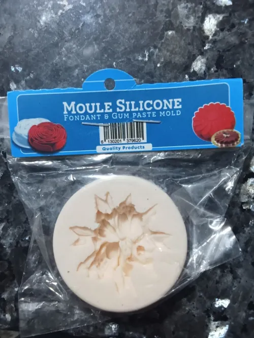 Moules en silicone