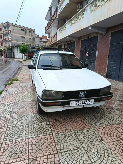 Peugeot 505 1987 505