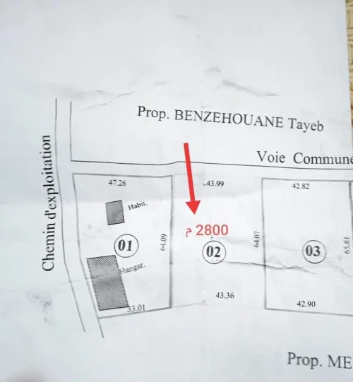Vente Terrain Tlemcen Remchi