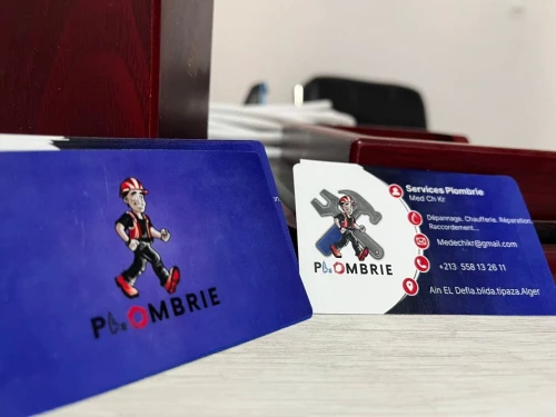 SOS plombier services