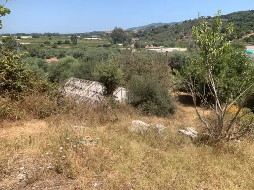 Vente Terrain Jijel Kemir oued adjoul