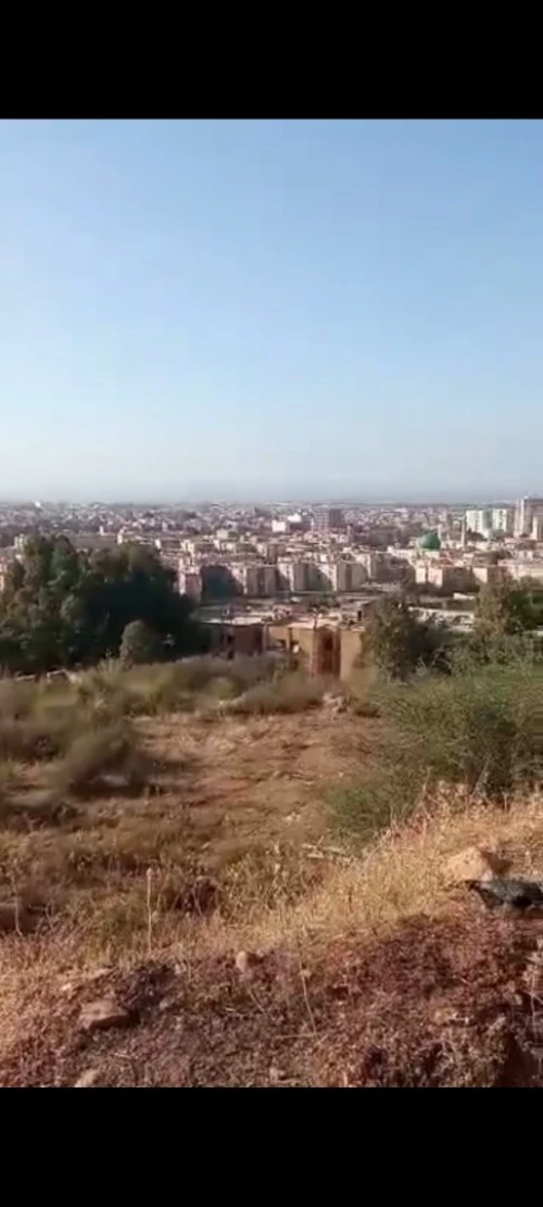 Vente Terrain Blida Ouled yaich