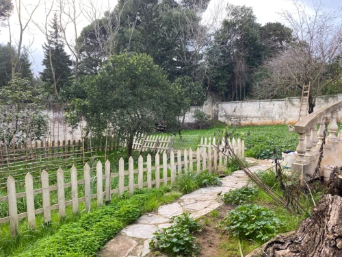 Vente Villa Alger Ben aknoun