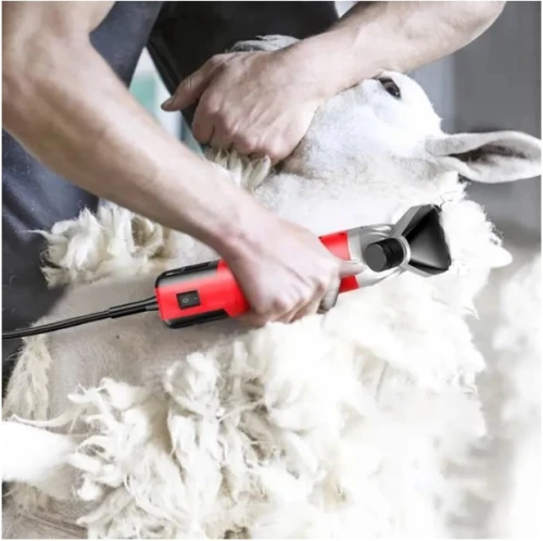Tondeuse Électrique Professionnelle Pour Moutons