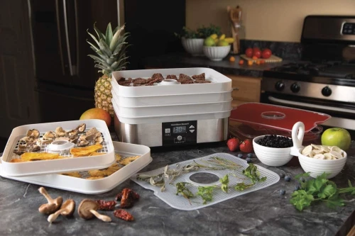 Déshydrateur Automatique D'aliments / Séchoir Fruits Et Legume PROFICOOK