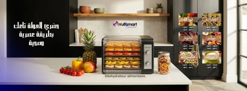 Déshydrateur Alimentaire Professionnel Avec 6 Plateaux En Acier Inoxydable, Séchoir à Fruits Pour La Maison, Réglables (6 niveaux)