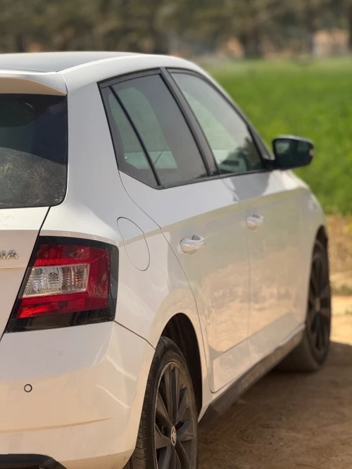 Skoda Fabia 2017 Monte Carlo