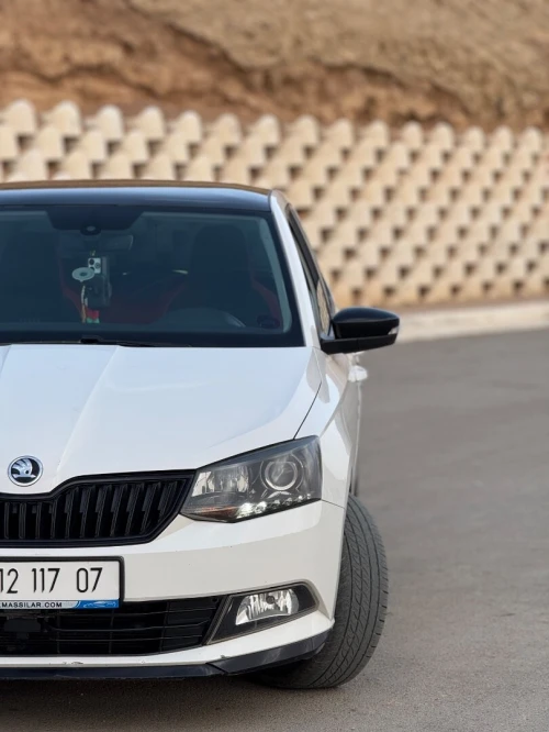 Skoda Fabia 2017 Monte Carlo