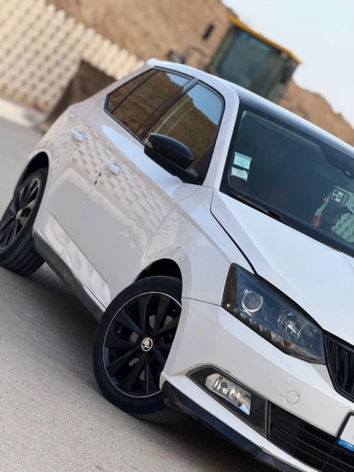 Skoda Fabia 2017 Monte Carlo