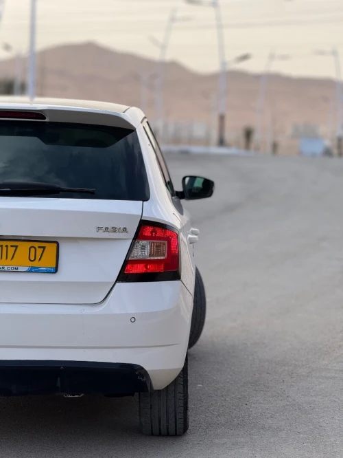 Skoda Fabia 2017 Monte Carlo