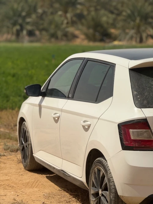 Skoda Fabia 2017 Monte Carlo