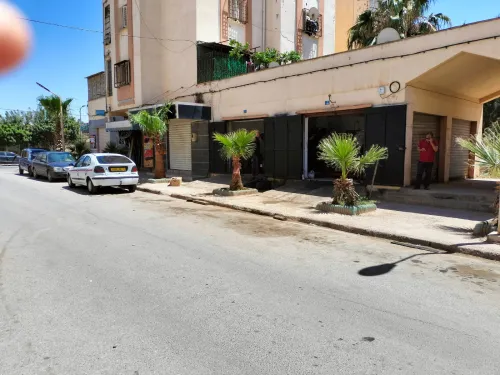 Location Local Oran Oued tlelat
