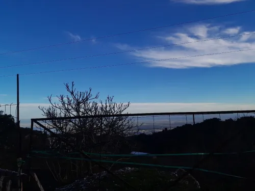 Vente Terrain Annaba Seraidi