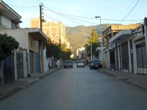 Vente Villa Blida Blida