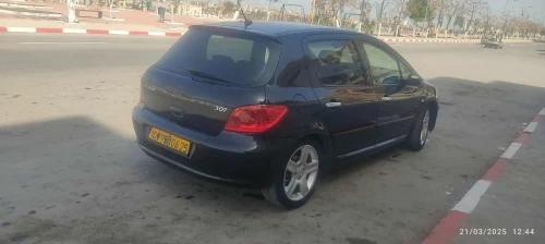 Peugeot 307 2006 Oxygo