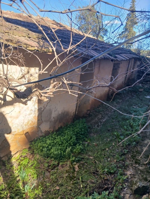 Vente bien immobilier Aïn Defla Oued chorfa