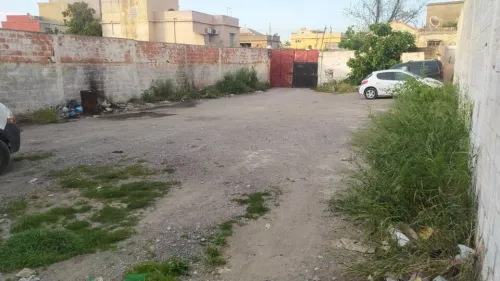 Vente Terrain Blida Blida
