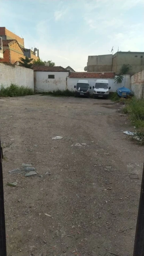 Vente Terrain Blida Blida