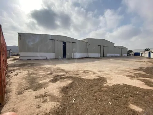 Vente Hangar Oran Hassi bounif