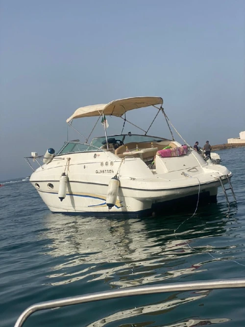 Bateau Hors bord GLASTRON