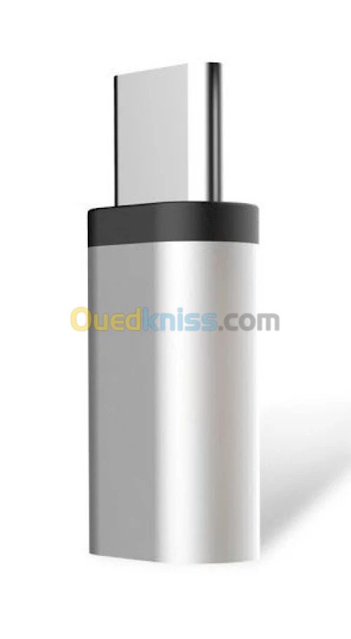 mac tech Adaptateur Type C Male Vers Micro USB Femelle - Gris