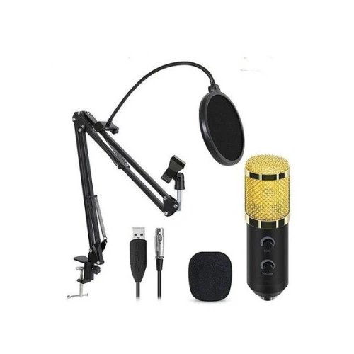 MICROPHONE PROFESSIONELLE DJ M-800U
