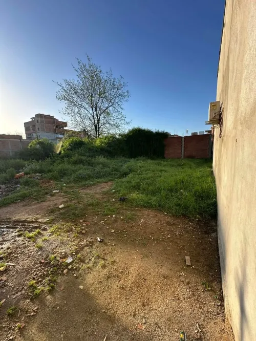 Vente Terrain Alger Sidi moussa