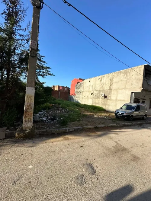 Vente Terrain Alger Sidi moussa