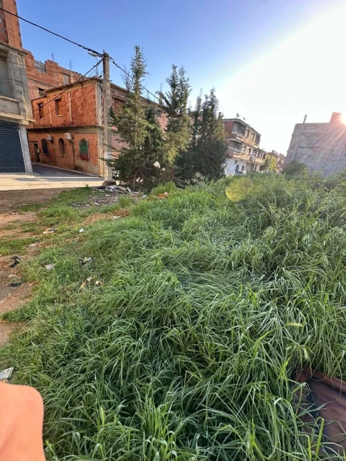 Vente Terrain Alger Sidi moussa