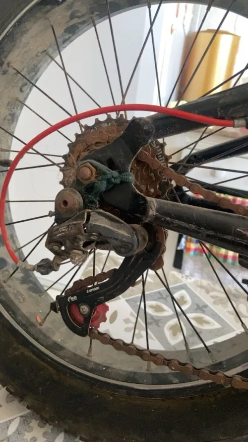 Vélos à grosse roues 
