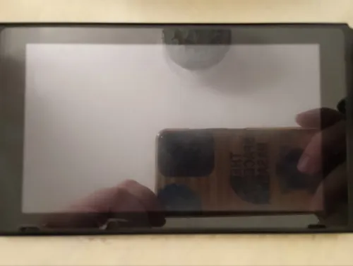 Nintendo switch v2 puce flash