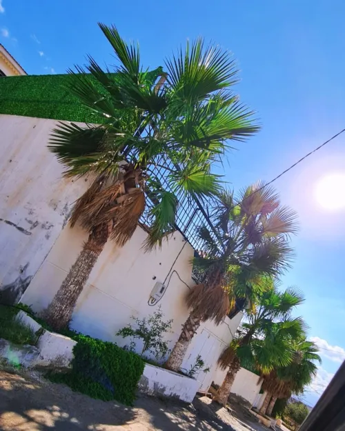 Location Villa Tlemcen Marsa ben mhidi