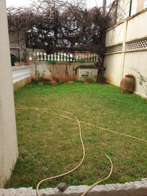 Vente Villa Alger Bouzareah