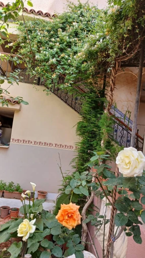 Vente Villa Blida Ouled yaich