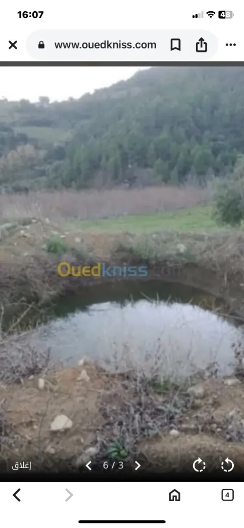 Vente Terrain Agricole Sétif Ain legraj
