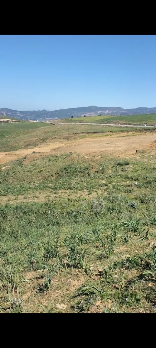 Vente Terrain Médéa Draa essamar
