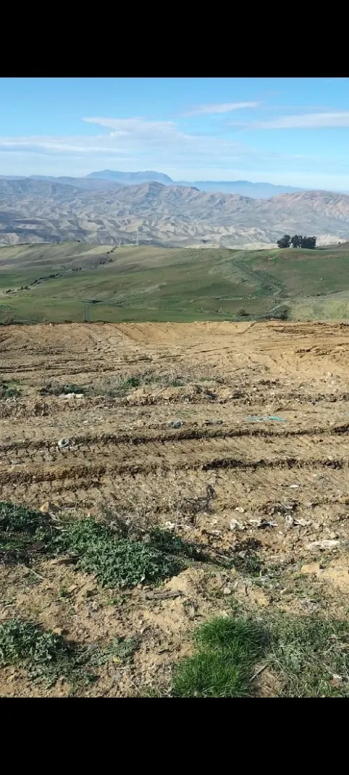 Vente Terrain Médéa Draa essamar