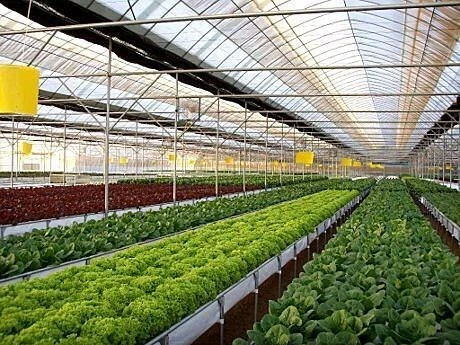 agriculture intelligente