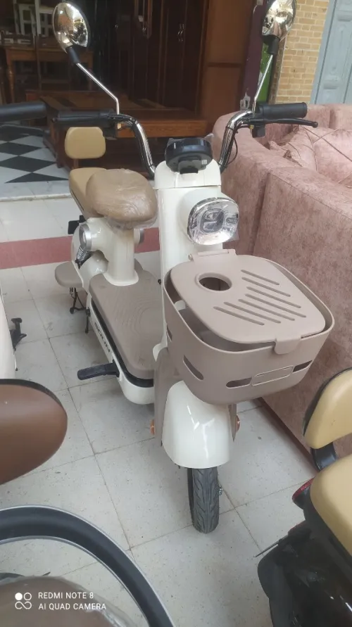 niu soun 2025