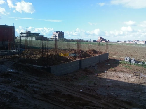 Vente Terrain Boumerdès Ouled moussa