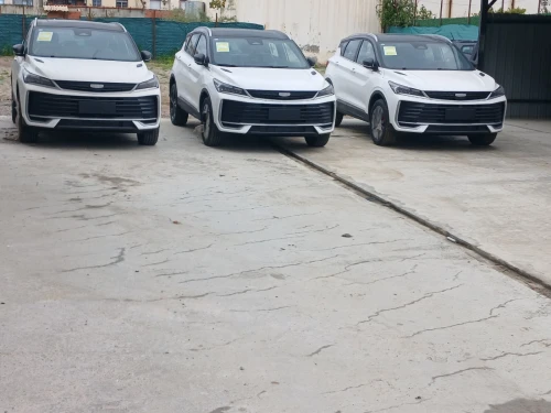 Geely Coolray 2026 Foll options