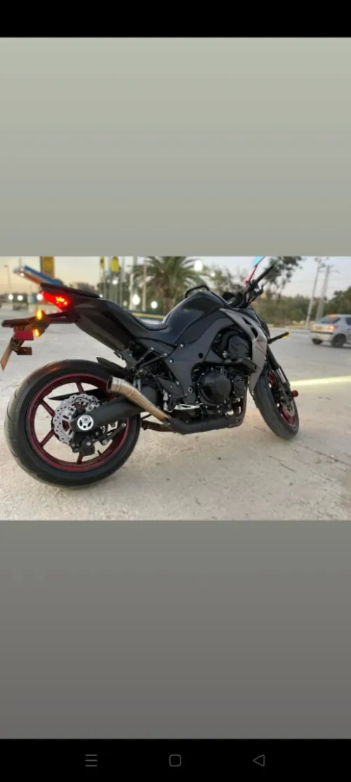 Kawasaki Z1000 2019