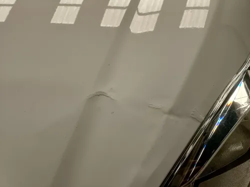 Ford Fiesta 2015 Trend Look